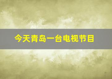 今天青岛一台电视节目