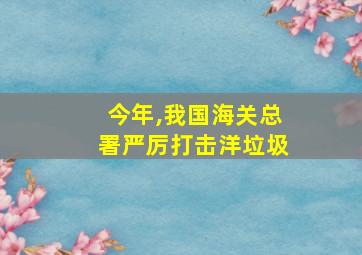 今年,我国海关总署严厉打击洋垃圾