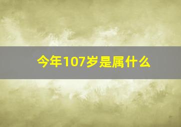 今年107岁是属什么