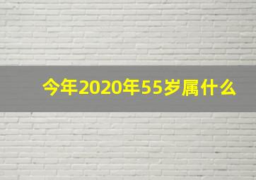 今年2020年55岁属什么