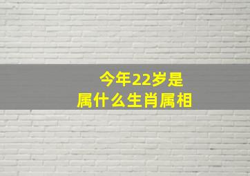 今年22岁是属什么生肖属相