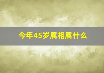 今年45岁属相属什么