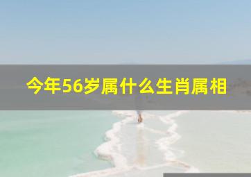 今年56岁属什么生肖属相