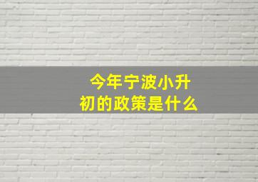 今年宁波小升初的政策是什么