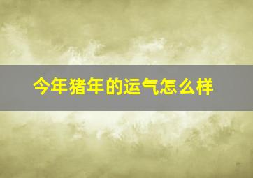 今年猪年的运气怎么样