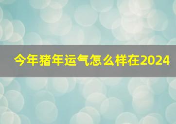 今年猪年运气怎么样在2024