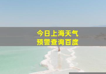 今日上海天气预警查询百度