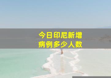 今日印尼新增病例多少人数