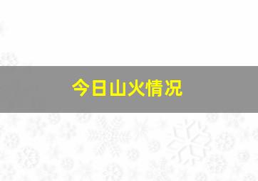 今日山火情况