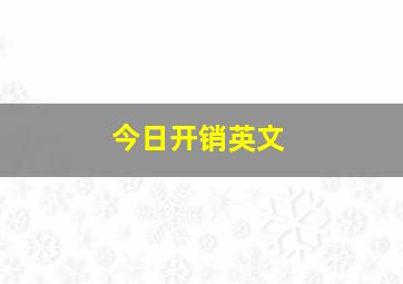 今日开销英文