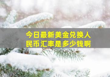 今日最新美金兑换人民币汇率是多少钱啊