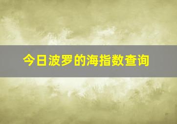 今日波罗的海指数查询