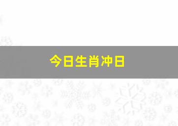 今日生肖冲日