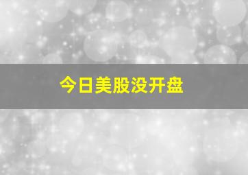 今日美股没开盘