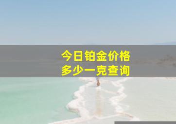 今日铂金价格多少一克查询