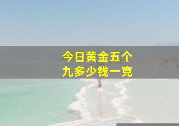 今日黄金五个九多少钱一克