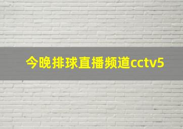 今晚排球直播频道cctv5