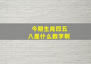 今期生肖四五八是什么数字啊