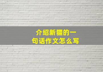 介绍新疆的一句话作文怎么写