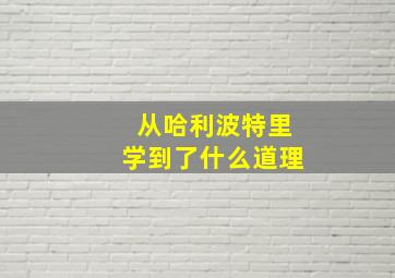 从哈利波特里学到了什么道理