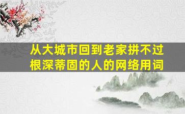 从大城市回到老家拼不过根深蒂固的人的网络用词