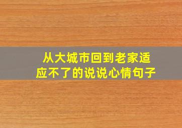 从大城市回到老家适应不了的说说心情句子