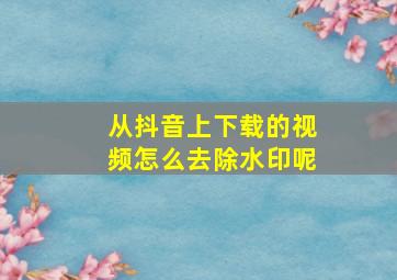 从抖音上下载的视频怎么去除水印呢