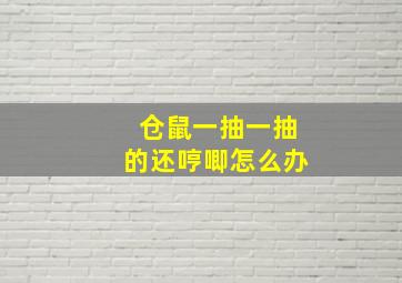 仓鼠一抽一抽的还哼唧怎么办