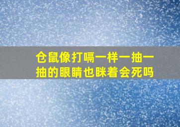 仓鼠像打嗝一样一抽一抽的眼睛也眯着会死吗