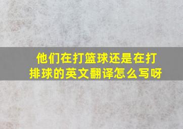 他们在打篮球还是在打排球的英文翻译怎么写呀