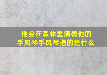 他会在森林里演奏他的手风琴手风琴指的是什么