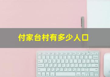 付家台村有多少人口