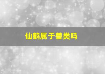 仙鹤属于兽类吗