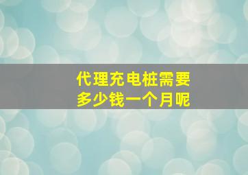 代理充电桩需要多少钱一个月呢