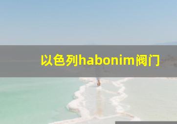 以色列habonim阀门