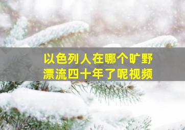 以色列人在哪个旷野漂流四十年了呢视频