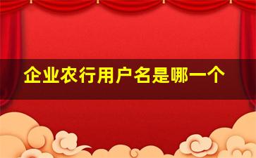 企业农行用户名是哪一个