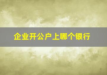 企业开公户上哪个银行