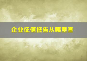 企业征信报告从哪里查