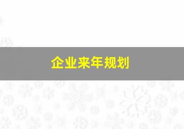 企业来年规划