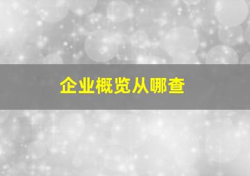 企业概览从哪查