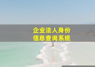 企业法人身份信息查询系统