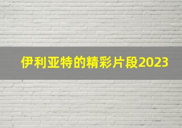 伊利亚特的精彩片段2023