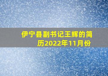 伊宁县副书记王辉的简历2022年11月份