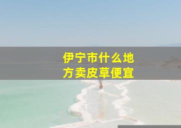 伊宁市什么地方卖皮草便宜