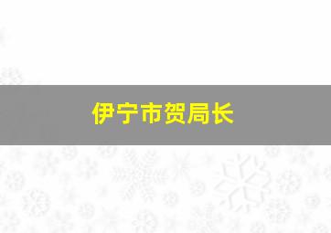 伊宁市贺局长