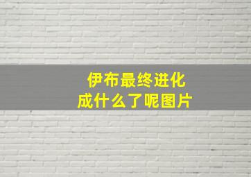 伊布最终进化成什么了呢图片