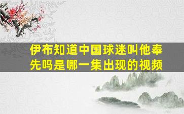 伊布知道中国球迷叫他奉先吗是哪一集出现的视频