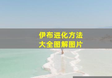 伊布进化方法大全图解图片