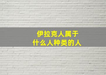 伊拉克人属于什么人种类的人